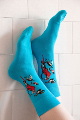 Носки "Ars Vivendi. Птичий концерт" 42-46