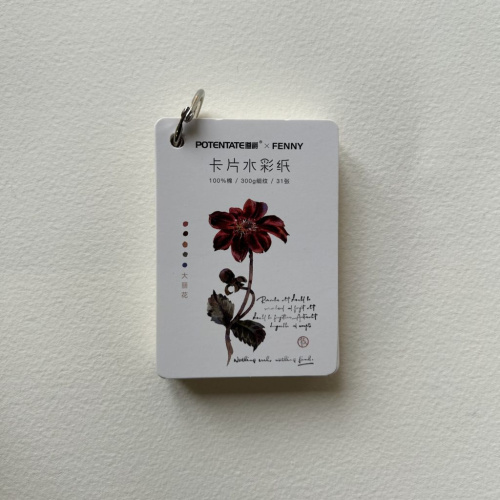 Закладка из акварельной бумаги на кольце Potentate 6,3x8,9 см 31 л 300 г, хлопок 100%, А