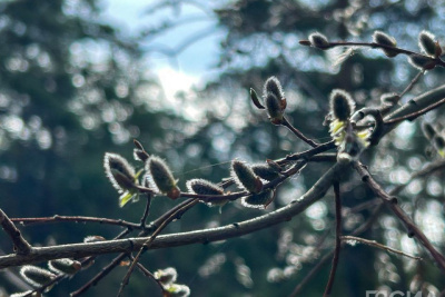 Что можно и нельзя делать 25 апреля 2024 года / ЯСИА   