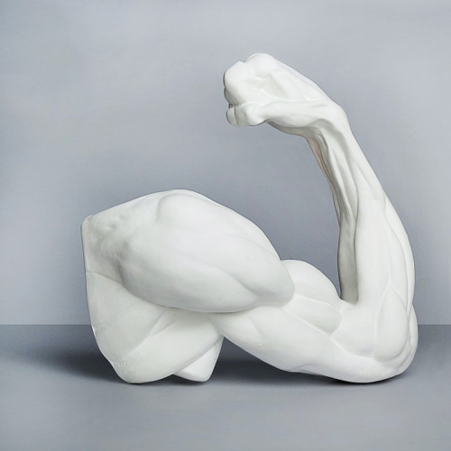 Гипс Рука анатомическая