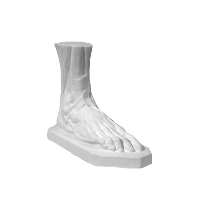 Гипс Стопа анатомическая h.240мм
