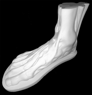 Гипс Стопа анатомическая