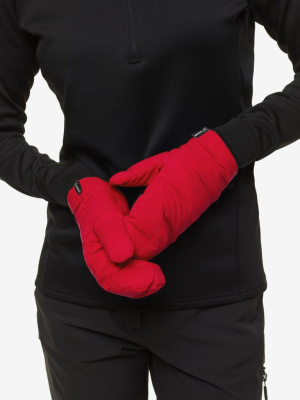 Рукавицы BASK