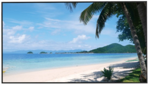 Монитор 55" Dahua LM55-S400 3840x2160 6ms 5500:1 450cd 178/178 ADS LED 16:9 D-Sub HDMI*2 DP USB RS232(RJ45) Speakers 1.5W*2 60Hz 24/7 ready VESA Black