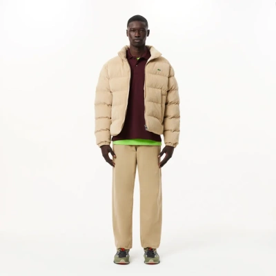 Мужское поло Lacoste L.13.12 Classic Fit из хлопка