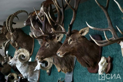 В Якутии создадут музей охотничье-рыболовного промысла / Карина Оконешникова   Республика Саха (Якутия)