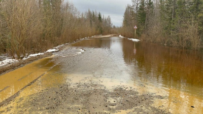 Изменился маршрут движения автобуса №101 /    