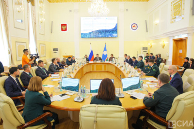 Якутия стала лидером по восстановлению лесов после пожаров среди регионов ДФО / Саина Титова   