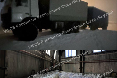 В Якутии пресекли незаконную перевозку рыбы стоимостью 21 млн рублей / Алексей Рудых   