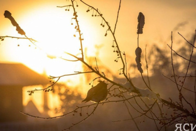 На Солнце произошла самая мощная вспышка за последние шесть лет / ЯСИА   