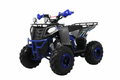 Квадроцикл WELS Thunder Evo X ST