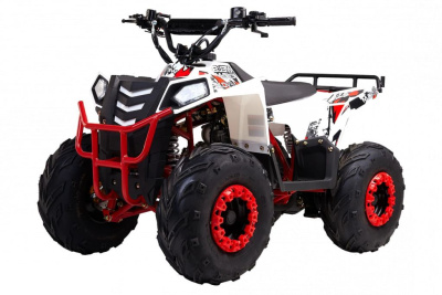 Квадроцикл WELS Thunder Evo M детский