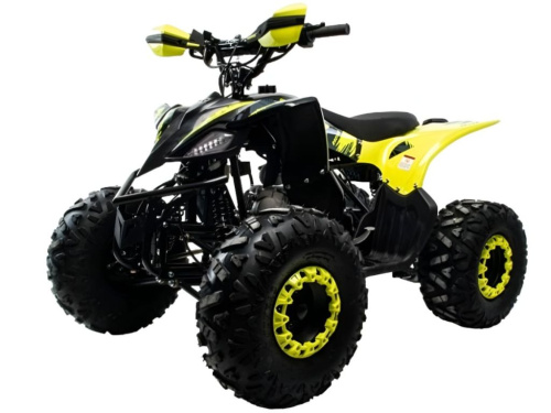 Квадроцикл MOTOLAND Vox 125 Raptor