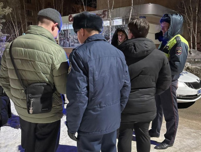 Ночь не для детских прогулок /    