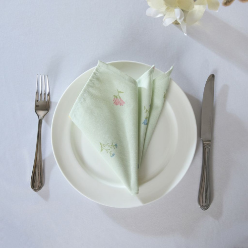 Набор салфеток Esselva I