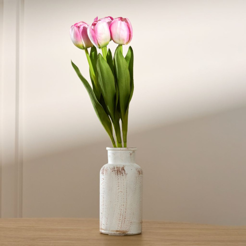 Ветвь Eternal Garden VIII