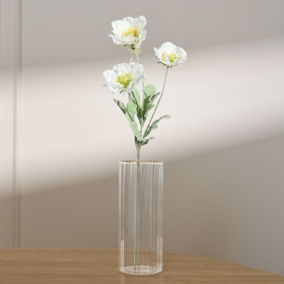 Ветвь Eternal Garden XI