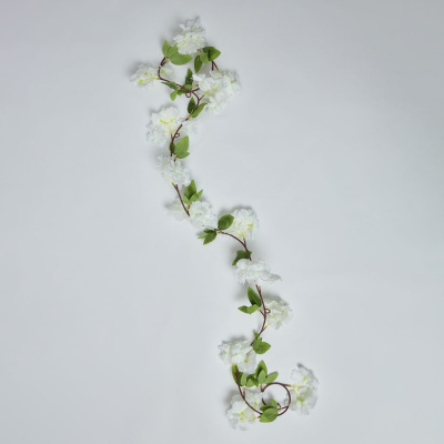 Ветвь Eternal Garden II