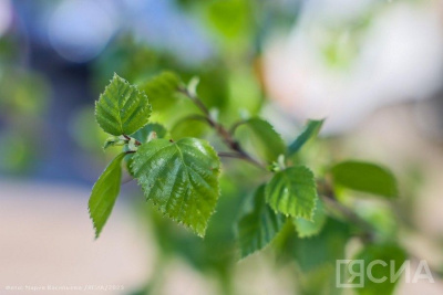 Что нельзя делать 26 мая 2024 года / ЯСИА   