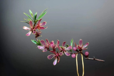 Ювелирные украшения в виде цветов представят на выставке в Якутске / ЯСИА Якутск Якутск Республика Саха (Якутия)