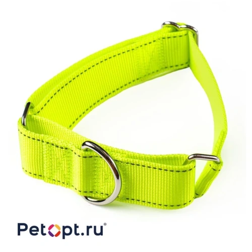 PetOpt Ошейник-мартингейл светоотражающий, нейлон, Флуоресцентный желтый M-40 мм 40-55 см m Китай 1 уп. х 1 шт. х 0.117 кг