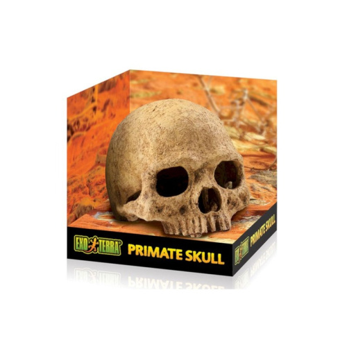 Exo Terra убежище-декор Череп примата 11х14х9 (PT2855) Тайвань 1 уп. х 1 шт. х 0.336 кг