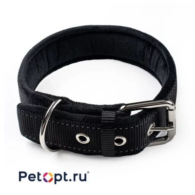 PetOpt Ошейни для собакк с мягкой подкладкой, застежка, ременная пряжка, Черный S 40ммХ385-475см s Китай 1 уп. х 1 шт. х 0.115 кг