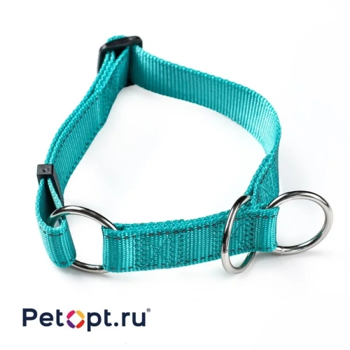 PetOpt Ошейник-полуудавка светоотражающий, нейлон с тремя кольцами, Аквамарин S 30-40см Х 20 мм s Китай 1 уп. х 1 шт. х 0.049 кг