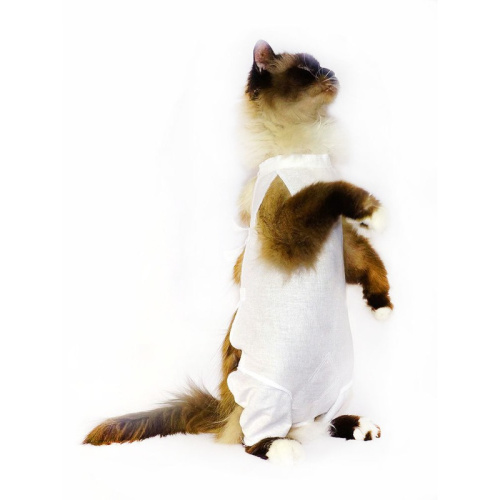 OSSO-fashion Послеоперационнная попона, размер 1 для всех пород Россия 1 уп. х 1 шт. х 0.033 кг