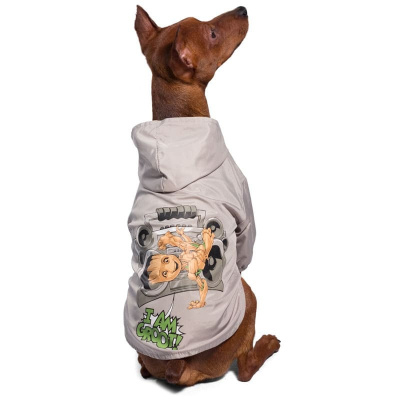 Triol Дождевик-попона Marvel Грут, размер S s Китай 1 уп. х 1 шт. х 0.9 кг