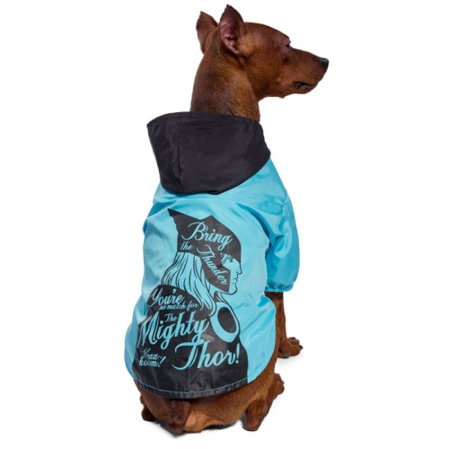 Triol Дождевик-попона Marvel Тор, размер L l Китай 1 уп. х 1 шт. х 1.02 кг