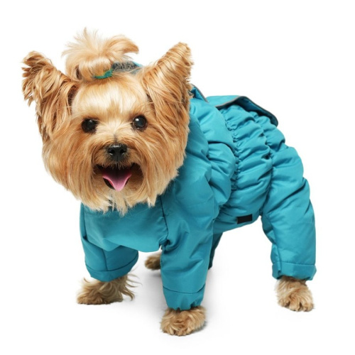 Gamma комбинезон зимний "Лига", бирюзовый, размер S - 22см s Россия 1 уп. х 1 шт. х 0.14 кг