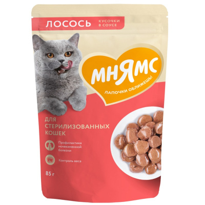 Мнямс влажный корм для стерилизованных кошек, с лососем, кусочки в соусе, в паучах - 85 г премиум для пожилых с лососем для всех пород паучи Российский корм 1 уп. х 24 шт. х 2.04 кг