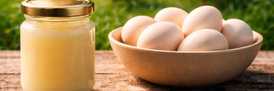 Польза и вред утиного жира и яиц: что важно знать