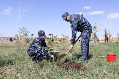 Сотрудники УФСИН Якутии высадили деревья в Парке Победы / Анна Лебединская   