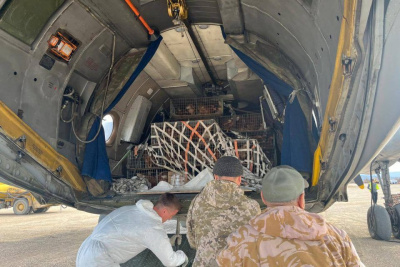 В Оленекский район Якутии доставили авиарейсом 860 кур-молодок / Айаал Аргунов  Оленекский Республика Саха (Якутия)