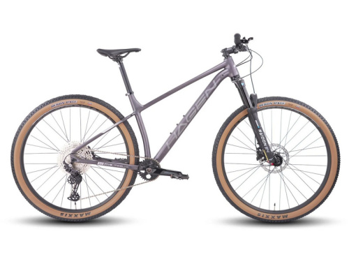 Горный велосипед Hagen 5.12 29, год 2025, цвет Серый, ростовка 16