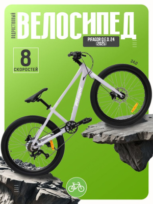 Подростковый велосипед Pifagor Q.E.D. 24, год 2025, цвет Фиолетовый