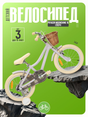 Детский велосипед Pifagor Moonshine 16, год 2024, цвет Фиолетовый