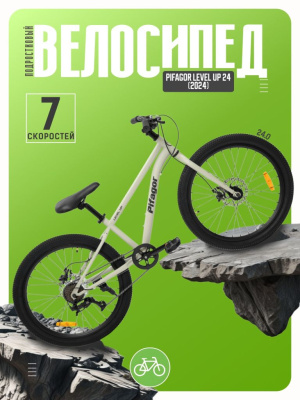 Подростковый велосипед Pifagor Level Up 24, год 2024, цвет Серый