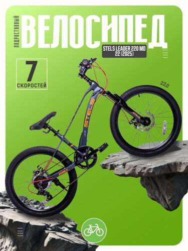 Подростковый велосипед Stels Leader 220 MD 22, год 2025, цвет Серый