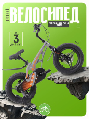 Детский велосипед Stels Galaxy Pro 14, год 2025, цвет Серый