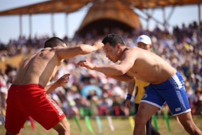 Известные многоборцы станут участниками турнира на Ысыахе Николая Тарского в Усть-Алданском улусе / Дьулустаан Сергеев   