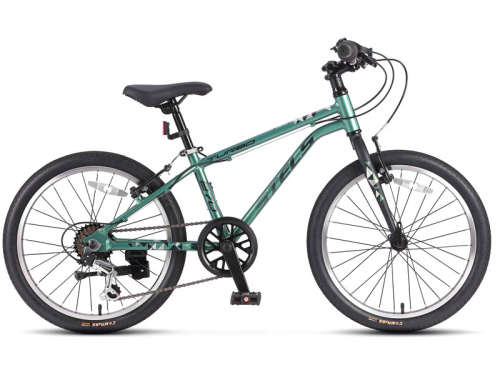 Детский велосипед Stels Turbo 270 V 20, год 2026, цвет Зеленый