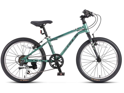 Детский велосипед Stels Turbo 270 V 20, год 2026, цвет Зеленый