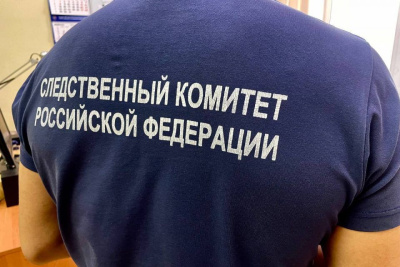 По факту гибели ребенка в Амгинском районе Якутии возбуждено уголовное дело / ЯСИА   