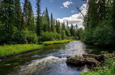 Пожароопасный сезон входит в активную фазу /    