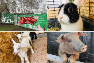 Павлины, индюки и страус: молодая предприниматель из Горного района открыла мини-ферму / Саина Титова   