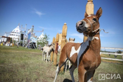 Что можно и нельзя делать 13 июня 2024 года: народные приметы и традиции / ЯСИА   