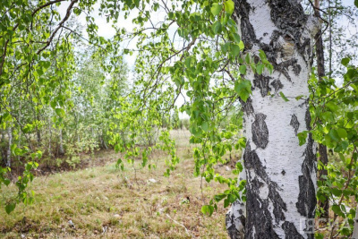 Что можно и нельзя делать 16 июня 2024 года: народные приметы и традиции / ЯСИА   